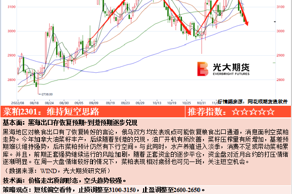 vo：为何这些照片引发如此关注？AG真人app黄色直播网站vi(图2)